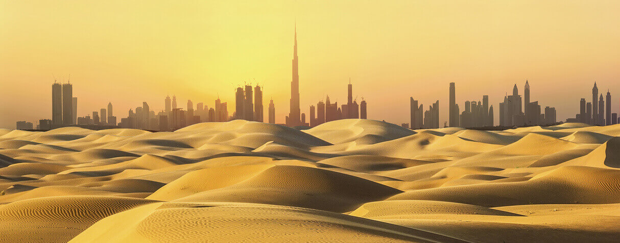 accountancy software Dubai and OCR
